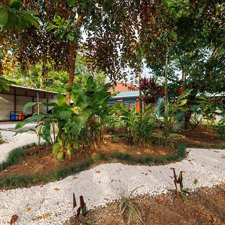 Rio Celeste Dreams Bijagua Exterior photo