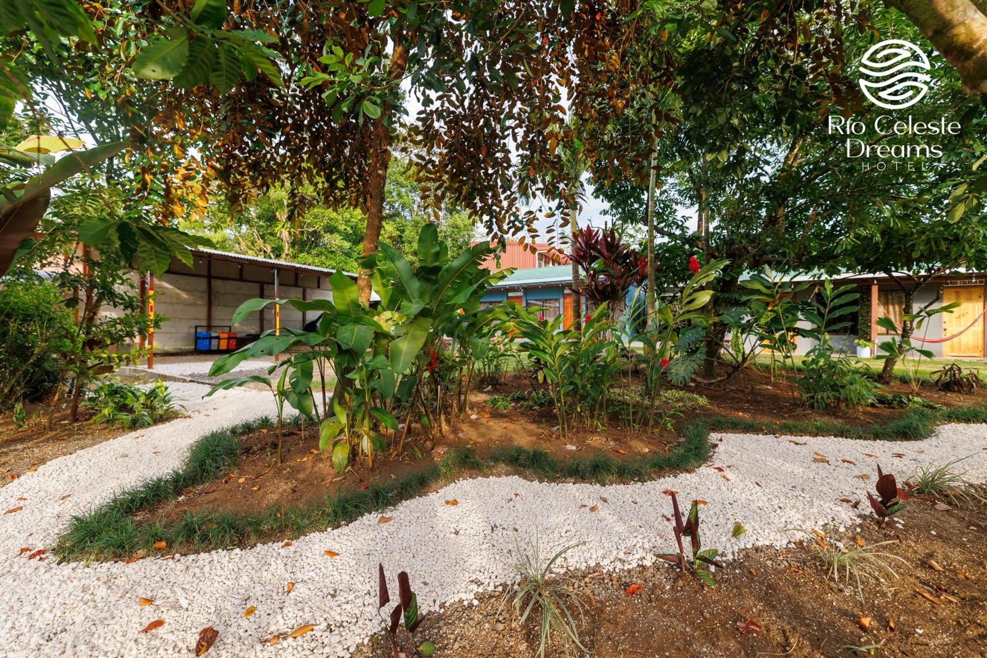 Rio Celeste Dreams Bijagua Exterior photo
